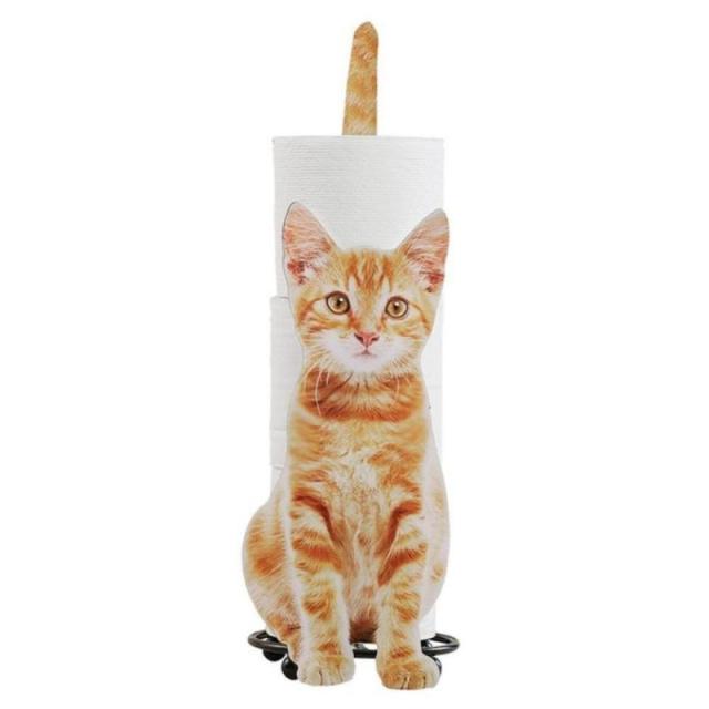 orange cat
