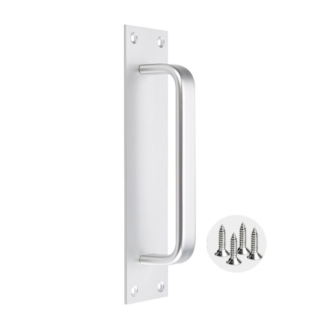 Matte silver-200003699