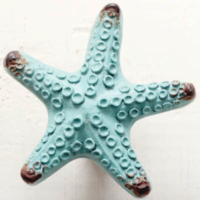 Lake blue starfish