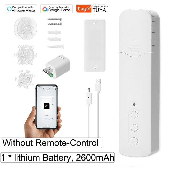 type 1 battery-200006152