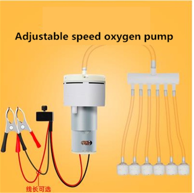 Adjust oxygen pump
