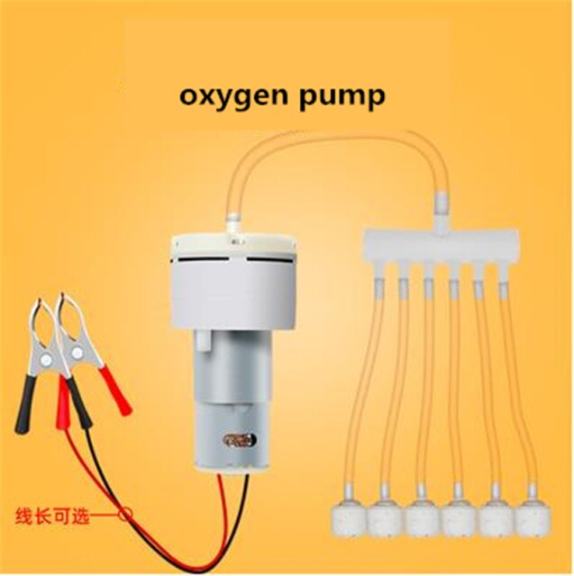 Oxygen pump