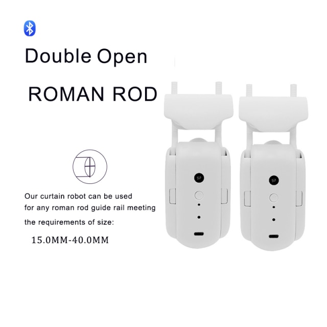 Double Roman rod