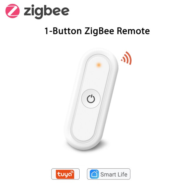 1 Button ZB Remote