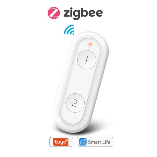2 Button Remote