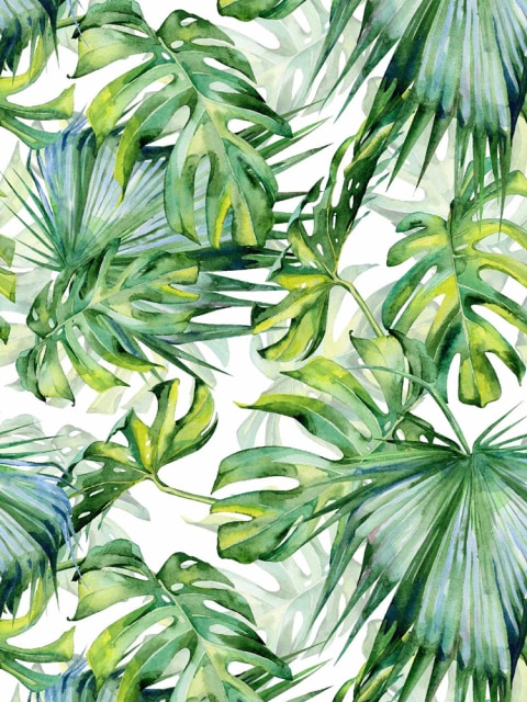 Palm Leaf