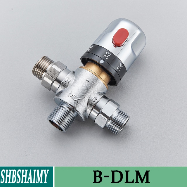 B-DLM