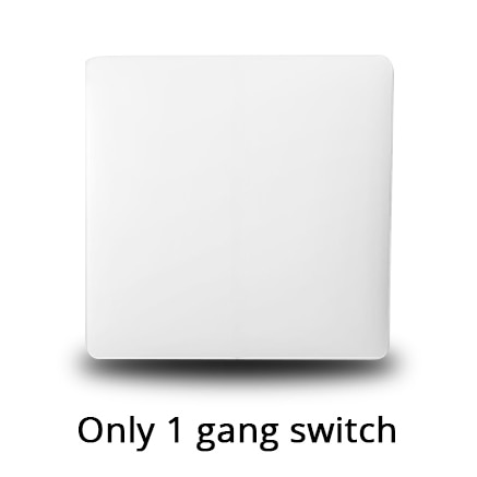 1 gang switch