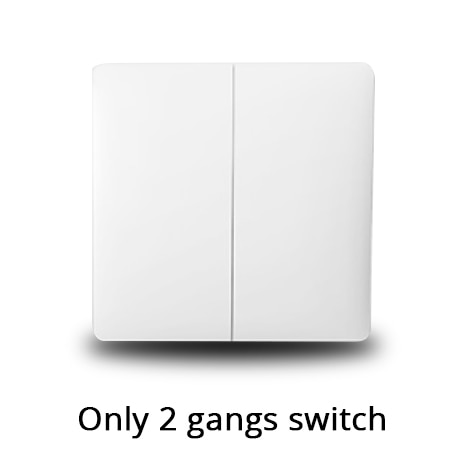 2 gangs switch