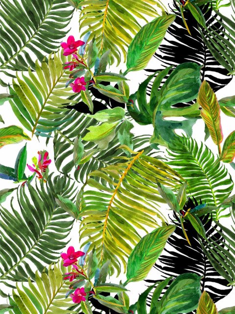 Tropical Palm