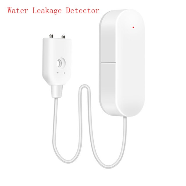 detector