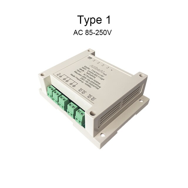 type 1
