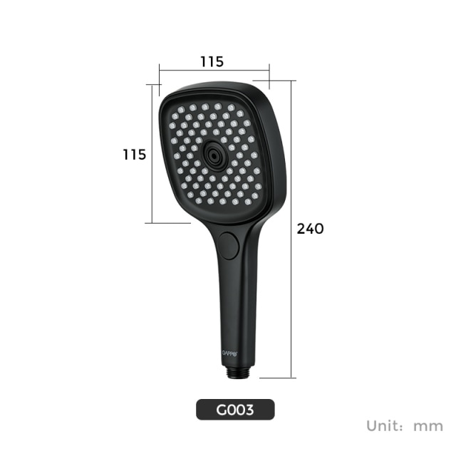 G003