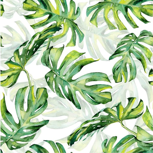 Tropical Green Leaf