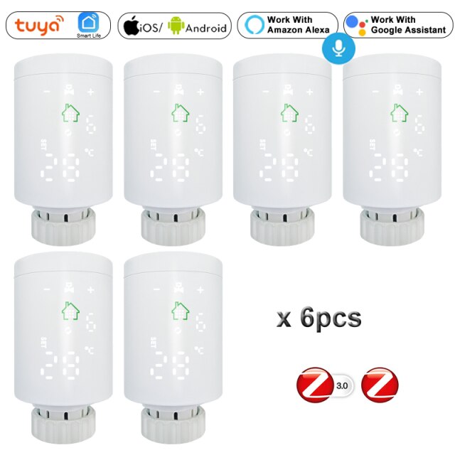 6pcs Radiator Valve