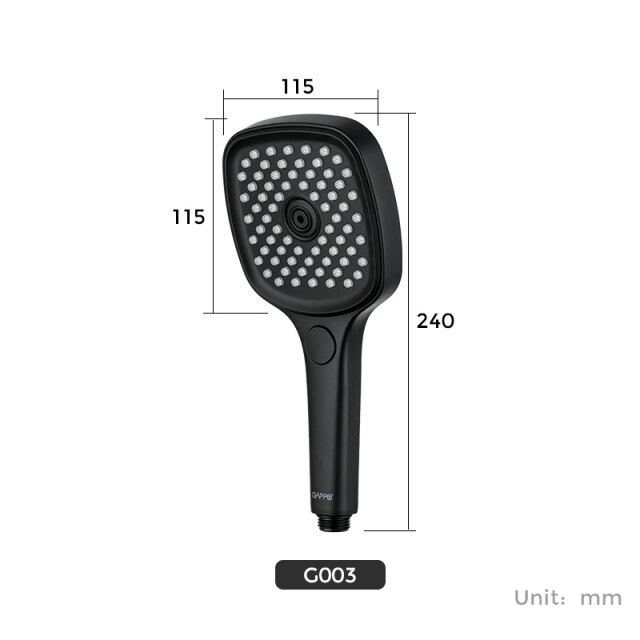 G003
