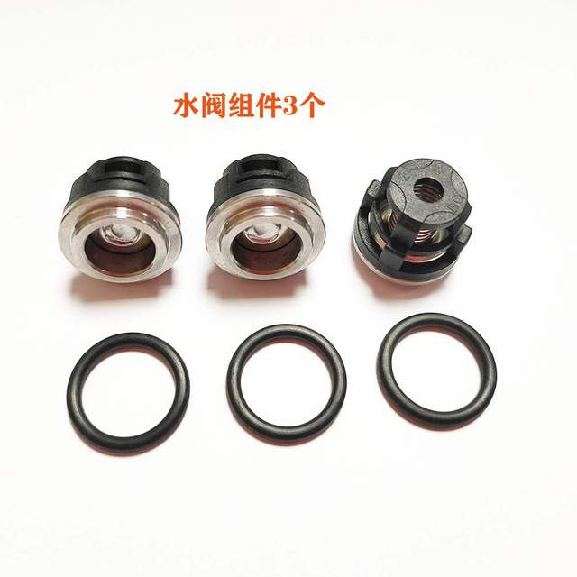 Check valve kit