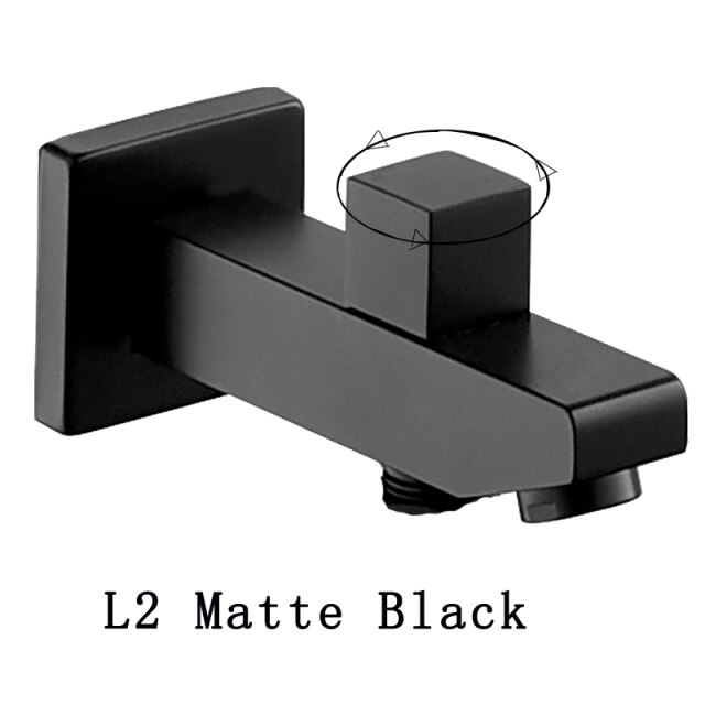 L2