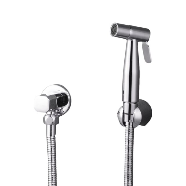 Chrome bidet