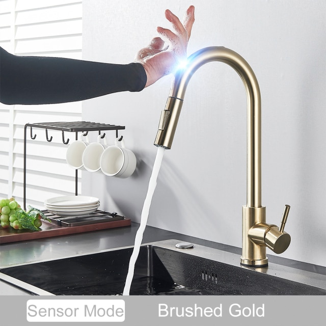 Sensor-Brush Gold