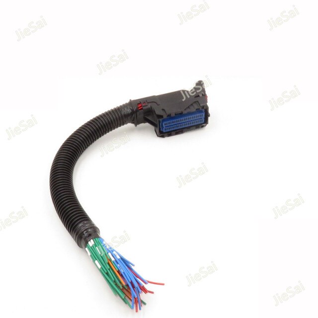 Blue Socket