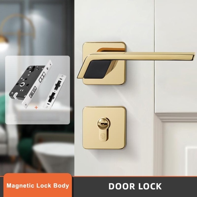 Magnetic Lock Body