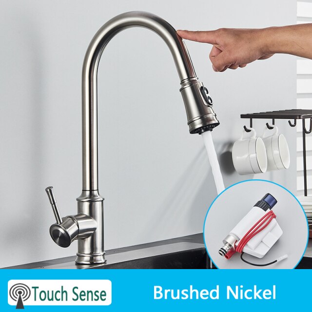 Sensor Brush nickel