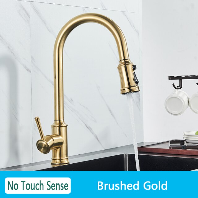 No Sensor Brush gold