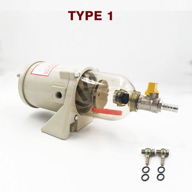 type 1