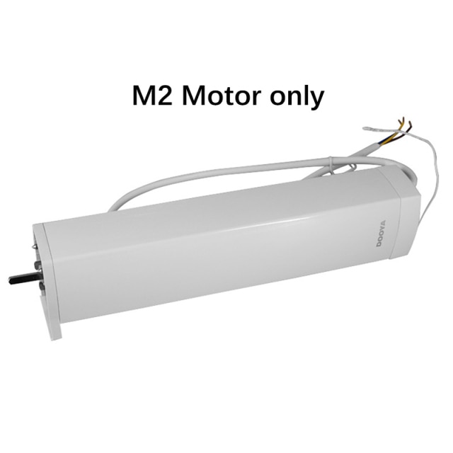 only M2