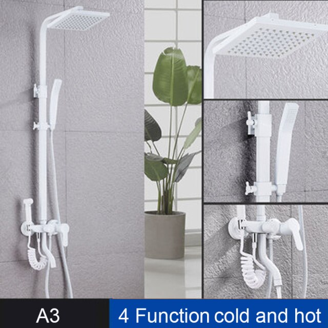 A3