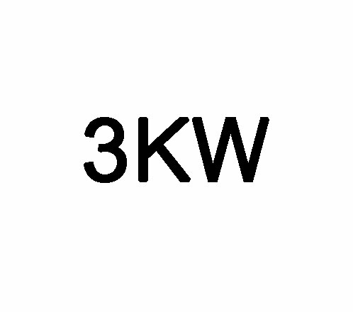 3KW 220V