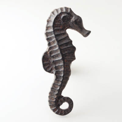 Little hippocampus